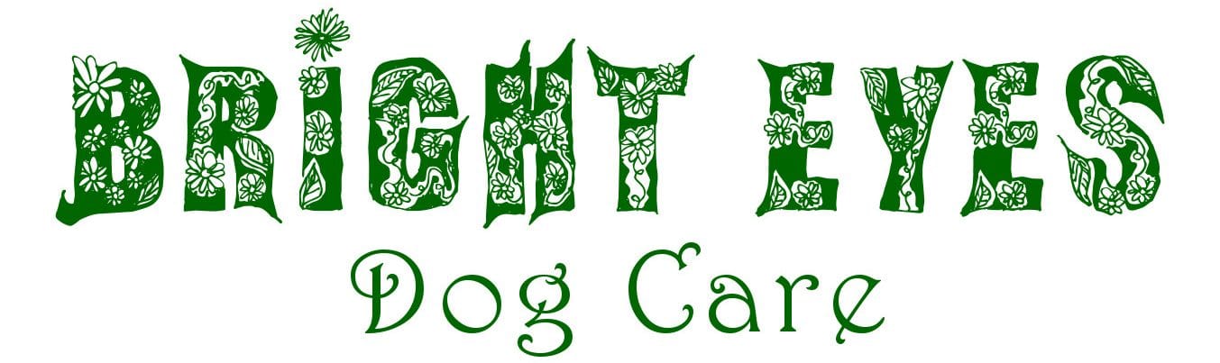 Logo of Bright Eyes Dog Care