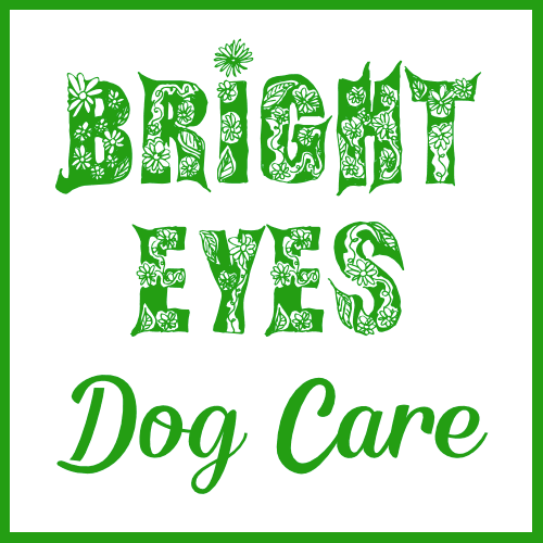 Bright Eyes Dog Day Care, Training & Boarding