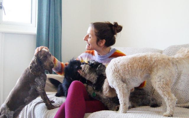 Bright Eyes Dog Care and Training - Cuddles 2