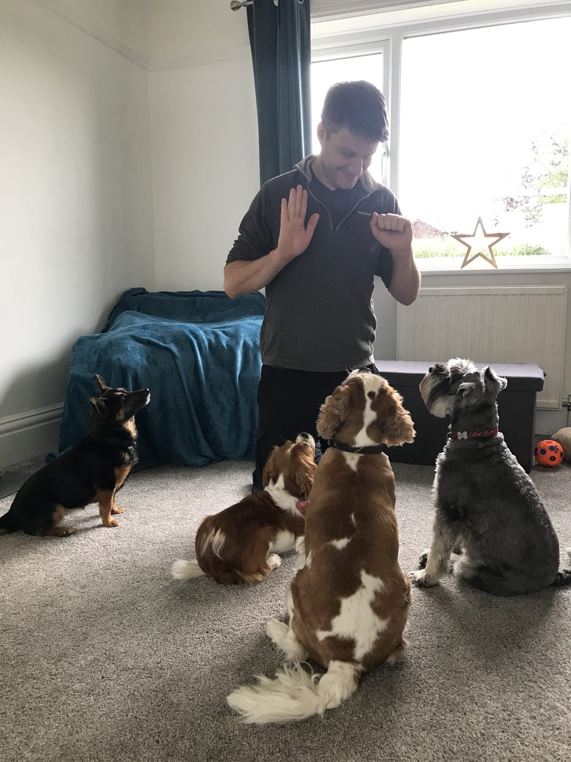 Dog Training