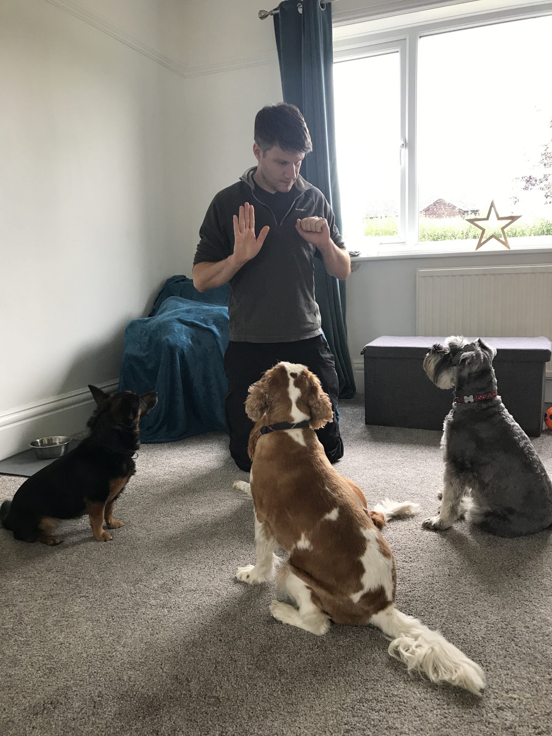 Bright Eyes Dog Training